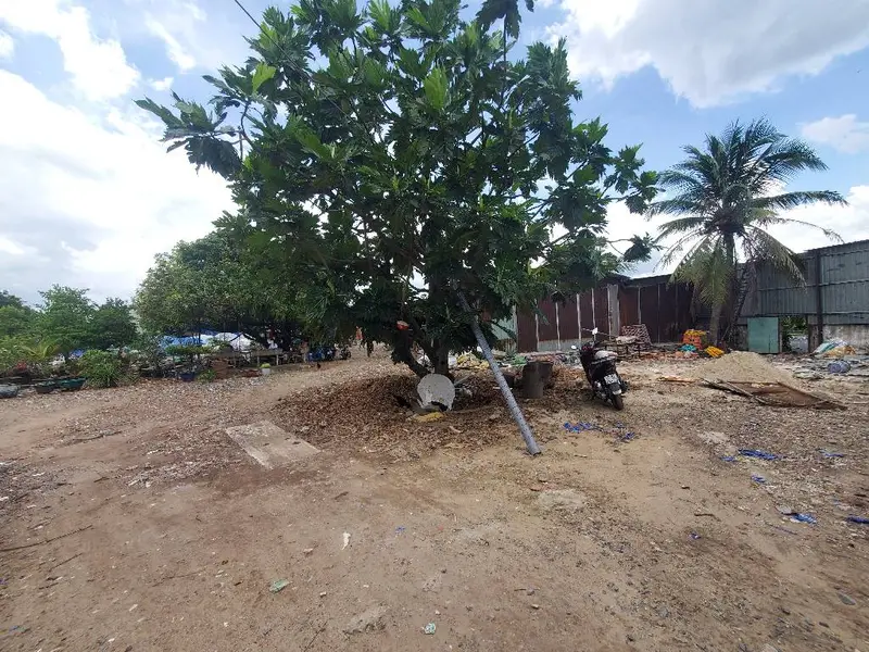 Mảnh đất vàng mặt tiền Lại Hùng Cường, cơ hội đầu tư đỉnh cao... Bán nhà mặt phố tại Tân Vĩnh Lộc, Hồ Chí Minh 01