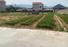 Mảnh đất vàng gần sân golf và danh thắng Phù Linh... Bán đất tại Sóc Sơn, Hà Nội 01