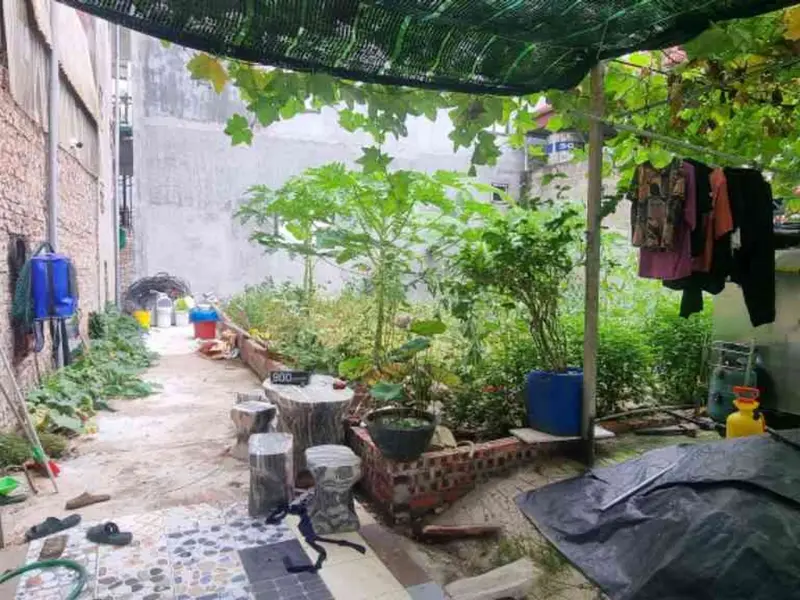 Bán lô đất diện tích 42.9 m2 tại trung tâm Đình Bảng, Từ Sơn, Bắc Ninh... Bán đất tại Từ Sơn, Bắc Ninh 01