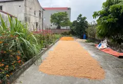 Đất - 81.6m² - Thuận Thành, Bắc Ninh - 3.5 tỷ... Bán đất tại Thuận Thành, Bắc Ninh 03