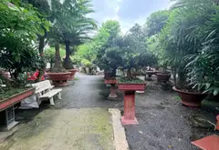 Bán nhà mặt tiền Khu Biệt Thự Dương Quảng Hàm, Công Viên Gò Vấp, 470m... Bán nhà riêng tại An Nhơn, Hồ Chí Minh 12
