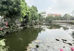 Bán đất Kim Ngưu Văn Giang giáp Đại Học Bách Khoa 70m2 mặt tiền 5m ô tô tránh dừng đổ... Bán đất tại Văn Giang, Hưng Yên 12
