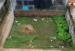 Bán đất lô góc hai mặt tiền vị trí đắc địa tại tuyến 2 Nguyễn Lương Bằng... Bán đất tại Kiến An, Hải Phòng 01