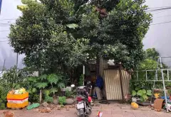Bán nhà mặt phố Đồng Văn Cống diện tích 99m2 giá 17 tỷ... Bán nhà mặt phố tại Cát Lái, Hồ Chí Minh 06