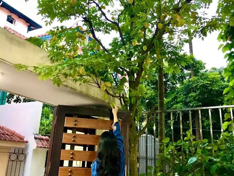 Bán mọi giá nhà sân vườn Thang máy tại Ngọc Thụy, Long Biên... Bán nhà riêng tại Bồ Đề, Hà Nội 01