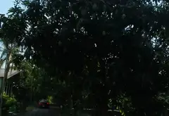 Khu biệt thự sinh thái ven sông Sài Gòn - cơ hội đầu tư hiếm có... Bán đất tại Bình Mỹ, Hồ Chí Minh 09