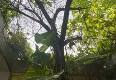 Bán nhà 4 tầng, 5 phòng tại Tân Phú, giá 7,5 tỷ thương lượng... Bán nhà riêng tại Phú Thọ Hòa, Hồ Chí Minh 14