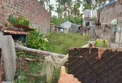 Đất thổ cư hướng Đông tại Trà Sơn, phù hợp an cư và đầu tư lâu dài... Bán đất tại Lưu Kiếm, Hải Phòng 07