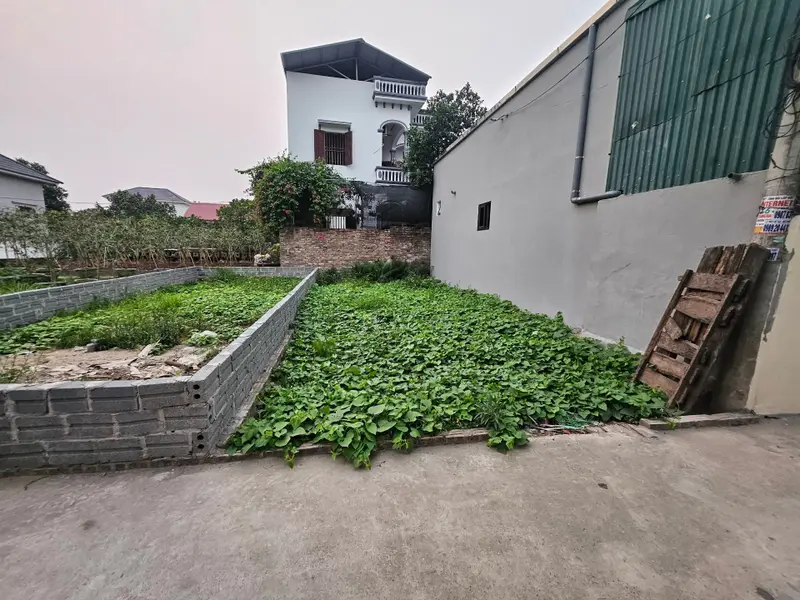 Cơ Hội Vàng Sở Hữu Đất Mặt Ngõ Ô Tô Tân Tiến, Hưng Yên Giá Ưu Đãi... Bán đất tại Tân Tiến, Hưng Yên 01