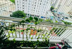 CHUNG CƯ SEN XANH LOTUS GARDEN - THIẾT KẾ RẤT ĐẸP MUA CHỈ VIỆC SỬ DỤNG - 72M2 - 2 PN 1 WC - SHR... Bán căn hộ chung cư tại Tân Phú, Hồ Chí Minh 07