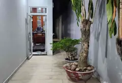 Biệt thự mặt tiền Tân Lập 2 Hiệp Phú rộng 291.5m² giá 40 tỷ phù hợp kinh doanh... Bán nhà mặt phố tại Tăng Nhơn Phú, Hồ Chí Minh 07