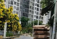 ✅CHDV THẠNH XUÂN 13 QUẬN 12 - 81M² - NGANG 5M - 4 TẦNG - 13 PHÒNG - NHỈNH 6 TỶ... Bán nhà riêng tại Thới An, Hồ Chí Minh 01