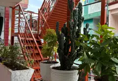 🔥 NHÀ KIỆT ĐỐNG ĐA – HẢI CHÂU | VỊ TRÍ KINH DOANH ĐẮC ĐỊA 🔥
📍 Cách mặt tiền đường Đống Đa chỉ 25... Bán nhà riêng tại Hải Châu, Đà Nẵng 07