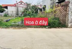 🔥CHỦ NGỘP GIÁ NÀO CŨNG BÁN 100M2 FULL TC YÊN LƯƠNG - TRUNG GIÃ - HÀ NỘI🔥... Bán đất tại Trung Giã, Hà Nội 01