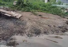 Lô đất rộng 1028m² hướng Đông Bắc tại khu dân cư phát triển... Bán đất tại Thủy Nguyên, Hải Phòng 04