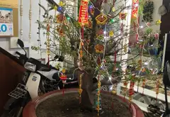 Nhà siêu rộng 3 tầng hẻm ô tô Đất Thánh, Tân Bình... Bán nhà riêng tại Tân Hòa, Hồ Chí Minh 01