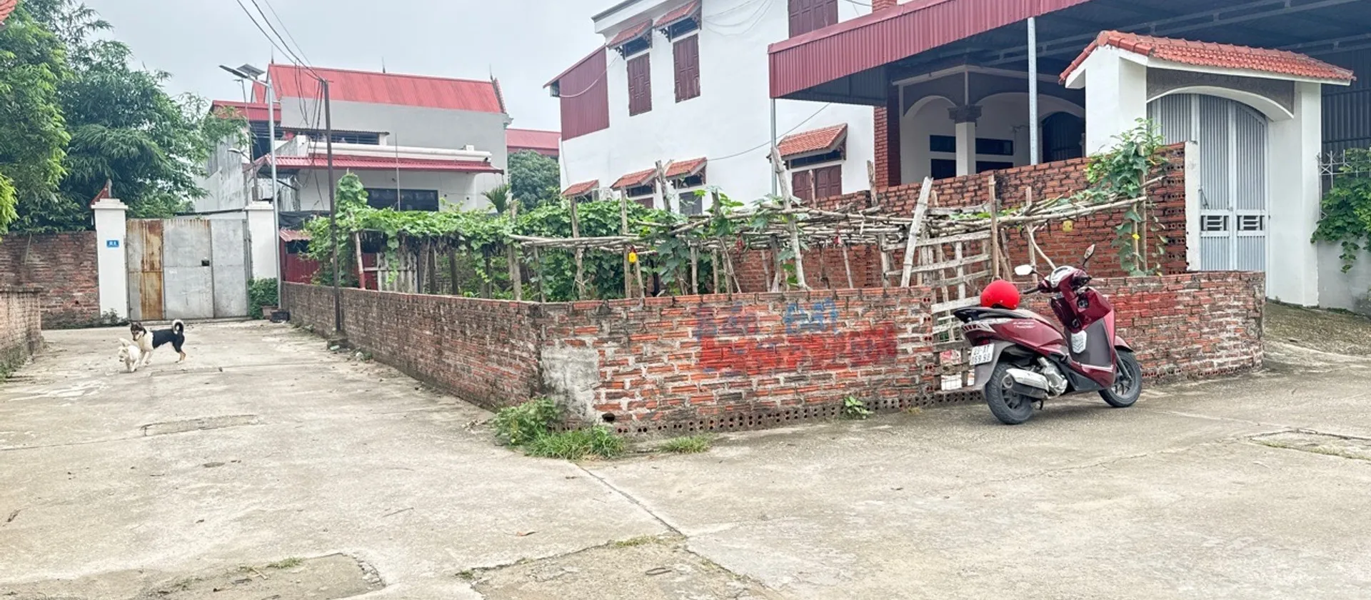 Đất Lô Góc Hương Đình Đoài – Tiện Lợi Gần KCN Nội Bài... Bán đất tại Sóc Sơn, Hà Nội 01