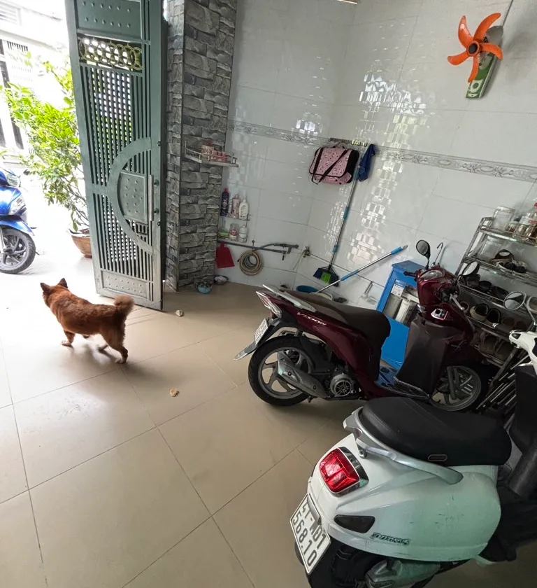 Bán nhà 4 tầng mặt phố Nguyễn Thái Học, diện tích 83.7m2, giá 13.5 tỷ... Bán nhà mặt phố tại Phú Thọ Hòa, Hồ Chí Minh 01