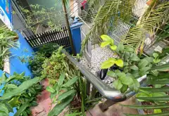 🏡 NHÀ XUÂN LA – TÂY HỒ Ô TÔ ĐỖ CỬA, NỞ HẬU. DIỆN TÍCH RỘNG – SẴN QUỸ ĐẤT CẢI TẠO LÀM NHÀ DÒNG TIỀN... Bán nhà riêng tại Xuân Đỉnh, Hà Nội 03