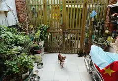 Bán nhà 2 tầng 85m² tại Quận 4 giá nhỉnh 5.x tỷ, 3 phòng ngủ... Bán nhà riêng tại Xóm Chiếu, Hồ Chí Minh 01