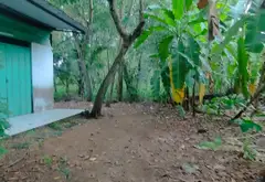Đất nền 7000m² rộng thoáng, siêu tiềm năng Hiệp Phước... Bán đất tại Hiệp Phước, Hồ Chí Minh 03