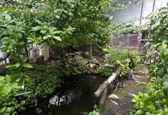 Biệt thự sân vườn 5 tầng sang trọng tại Nguyễn Cửu Đàm, diện tích lớn 600m2... Bán nhà riêng tại Tân Sơn Nhì, Hồ Chí Minh 09