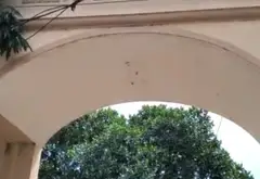 Cơ Hội Vàng Sở Hữu Đất Trục Chính Thôn Phú Cường Với Mặt Tiền 40m... Bán owner_side tại Kim Anh, Hà Nội 02