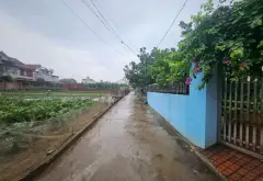 Đất Ô Tô Vào Thoải Mái Gần Đại Học Bách Khoa... Bán đất tại Văn Giang, Hưng Yên 05
