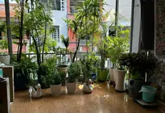 Nhà Mặt Phố Sầm Uất Tân Định - Không Gian Xanh, Tiện Nghi Đầy Đủ... Bán nhà mặt phố tại Tân Định, Hồ Chí Minh 03