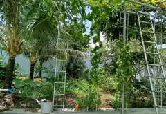 Bán nhà mặt phố 4 tầng, 250m2, 2 mặt tiền tại Hưng Nhơn... Bán nhà mặt phố tại Tân Nhựt, Hồ Chí Minh 10