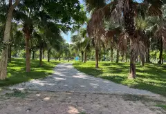 Bán đất vị trí đắc địa khu đông dân cư tại Lê Quang Đạo... Bán đất tại Từ Sơn, Bắc Ninh 06