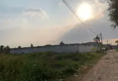 Bán nhà vườn 6000m, có 1000m thổ cư, đường xe tải Xuân Thới Sơn, Hóc Môn... Bán nhà mặt phố tại Xuân Thới Sơn, Hồ Chí Minh 05