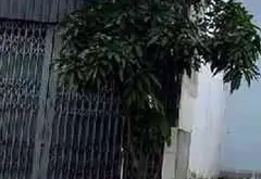 Cơ hội sở hữu đất khu cao tầng vị trí vàng, giá tốt cần nhấc máy ngay... Bán đất tại An Lạc, Hồ Chí Minh 02