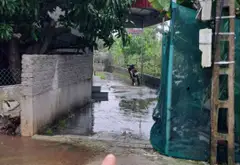 Thửa đất số 411, tờ bản đồ số 35, thôn CD Quán Trạch, Liên Nghĩa, Văn Giang, Hưng Yên... Bán đất tại Văn Giang, Hưng Yên 11