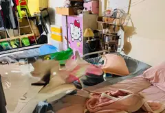 Cơ hội vàng sở hữu nhà 2 tầng vị trí đắc địa tại Bình Tân giá chỉ 3.68 tỷ... Bán nhà riêng tại Bình Trị Đông, Hồ Chí Minh 05