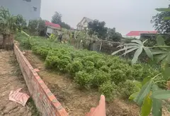 Đất đẹp Lập Trí Sóc Sơn – Ô tô tránh, tiềm năng tăng giá cao... Bán đất tại Kim Anh, Hà Nội 01