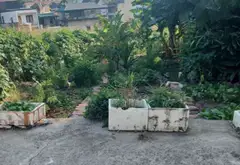 BÁN ĐẤT TRUNG TÂM CAO XANH, LÔ GÓC 2 MẶT TIỀN, DT 66M2, SÔ VUÔNG - TIỀM NĂNG KHAI THÁC TỐT... Bán đất tại Cao Xanh, Quảng Ninh 01