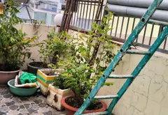 💢Q12- NHÀ 4 TẦNG 83M2- 4x24- XH NGỦ NHÀ- NHỈNH 9 TỶ💢... Bán nhà riêng tại Đông Hưng Thuận, Hồ Chí Minh 04