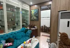 BÁN GẤP BIỆT THỰ LÔ GÓC – TÂY NAM LINH ĐÀM | 220M² – 4 TẦNG – MT 13M – 140 TỶ... Bán biệt thự, liền kề tại Hoàng Liệt, Hà Nội 01