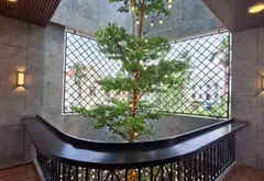 Biệt Thự Villa Thông Tầng Đẳng Cấp Tại Đặng Cương... Bán nhà riêng tại An Dương, Hải Phòng 17