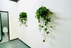 Cơ Hội Vàng Sở Hữu Nhà Xây Mới Tại Lạch Tray – Đừng Bỏ Lỡ!... Bán nhà riêng tại Lê Chân, Hải Phòng 13