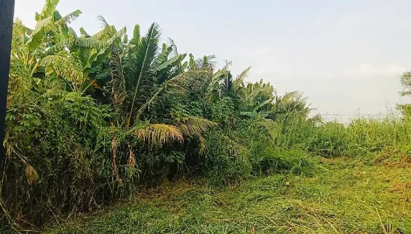 Bán đất 639m2 mặt tiền 15m tại Bình Lợi, Bình Chánh... Bán owner_side tại Bình Lợi, Hồ Chí Minh 01