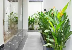 Biệt thự Nguyễn Văn Quỳ giá giảm sốc - Cơ hội sở hữu hiếm có tại Phú Thuận... Bán biệt thự, liền kề tại Phú Thuận, Hồ Chí Minh 04