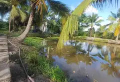 Bán đất 5046m2 hướng nam gần trung tâm xã Vườn Thơm... Bán đất tại Bình Lợi, Hồ Chí Minh 05