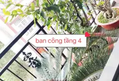 Nhà 4 tầng 4 phòng ngủ tại Long Trường, giá 5.9 tỷ... Bán nhà riêng tại Long Trường, Hồ Chí Minh 18