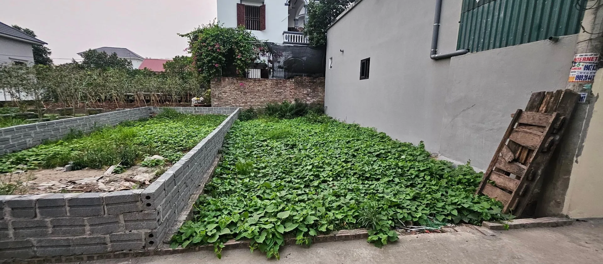 Cơ Hội Vàng Sở Hữu Đất Mặt Ngõ Ô Tô Tân Tiến, Hưng Yên Giá Ưu Đãi... Bán đất tại Tân Tiến, Hưng Yên 01