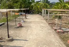 Bán đất xã Gia Bình, Bắc Ninh, ô tô vào tận nơi, đất sổ đỏ... Bán đất tại Gia Bình, Bắc Ninh 05