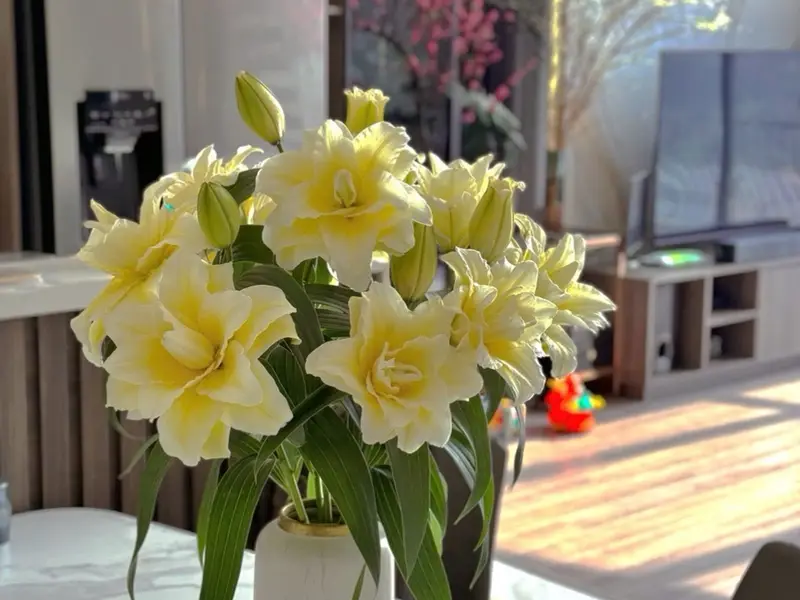 Nhà mặt phố 8 tầng view hồ Đền Lừ, kinh doanh đỉnh tại Hoàng Mai... Bán nhà mặt phố tại Tương Mai, Hà Nội 01