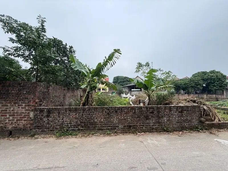 Cơ hội hiếm có sở hữu đất phân lô đường ô tô tránh Minh Phú... Bán đất tại Kim Anh, Hà Nội 01
