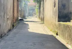 Bán đất 100m2 tại xã Yên Lãng, Hà Nội – Giá ưu đãi sau ngày 10/10/2026... Bán đất tại Yên Lãng, Hà Nội 04